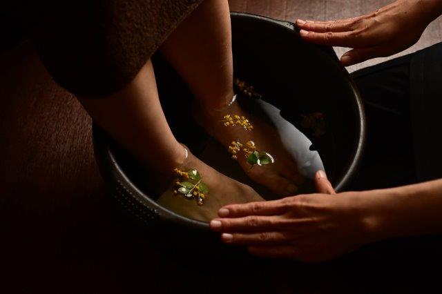 アーユルヴェーダから「心を守る」智慧を届けます