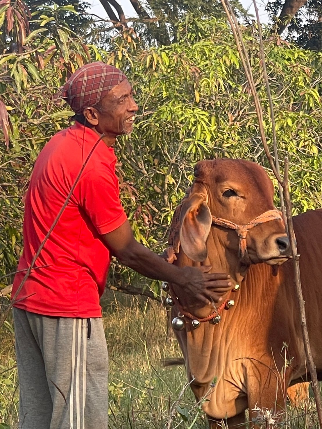 本日インド旅最終日“アーユルヴェーダ”起源のインドで味わう本場の旅