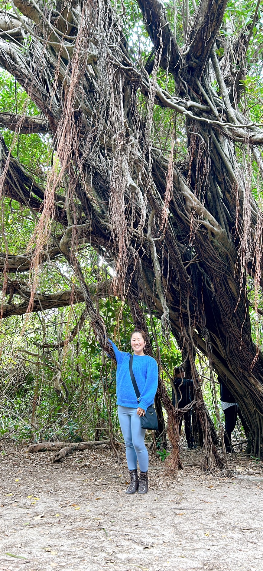 がんばる大人女子の身体が、静かにSOSを出すとき