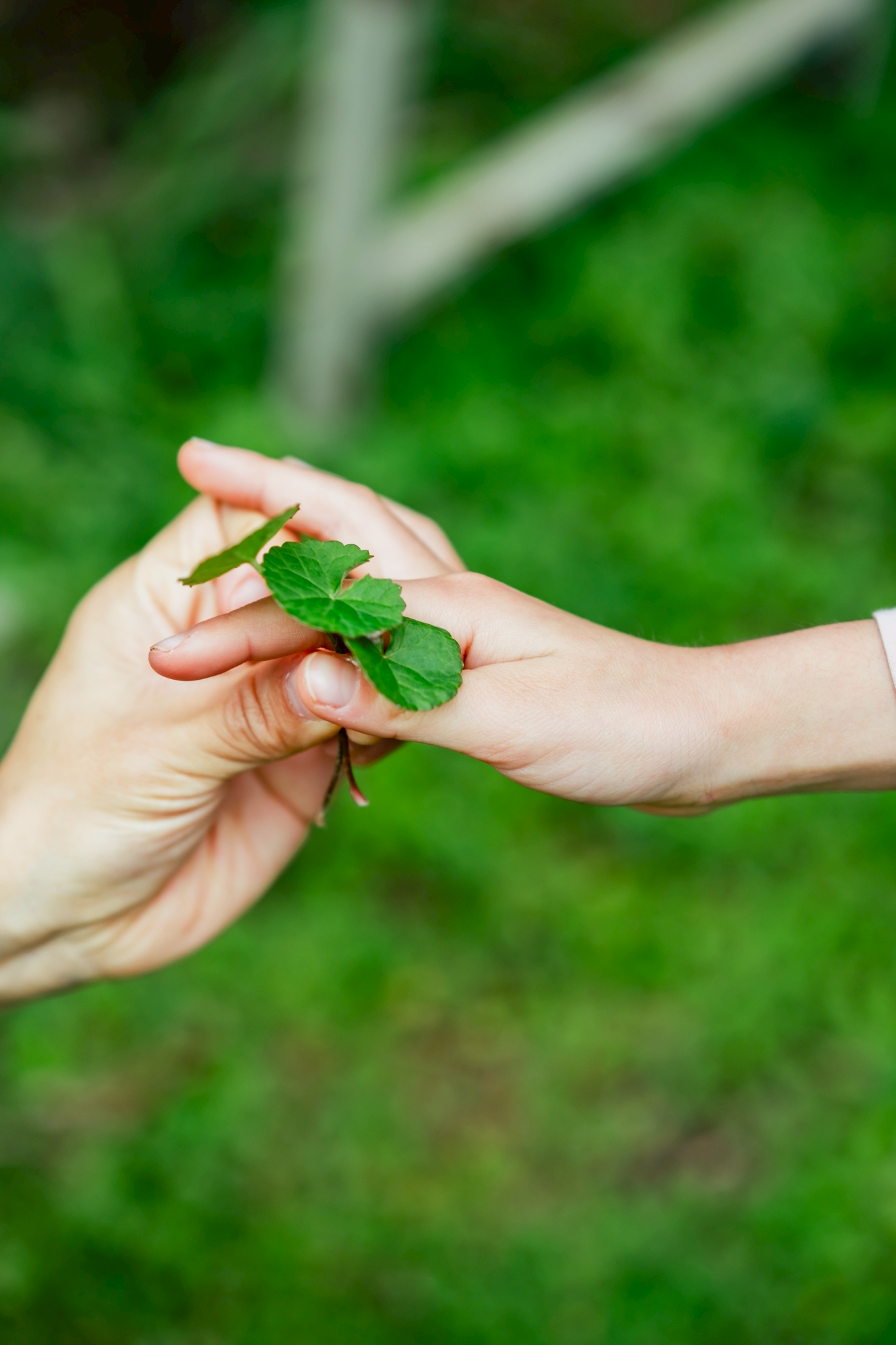 そもそもアーユルヴェーダが子育てに向いている理由