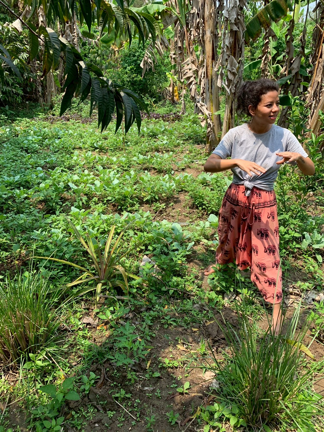 インドで体験した、自然の叡智